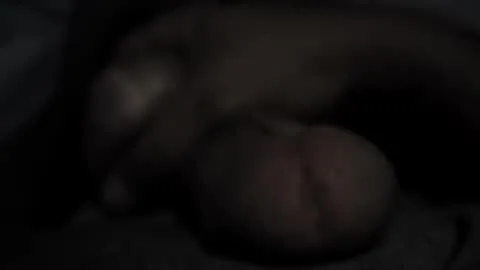 Photo of thisloadsforu